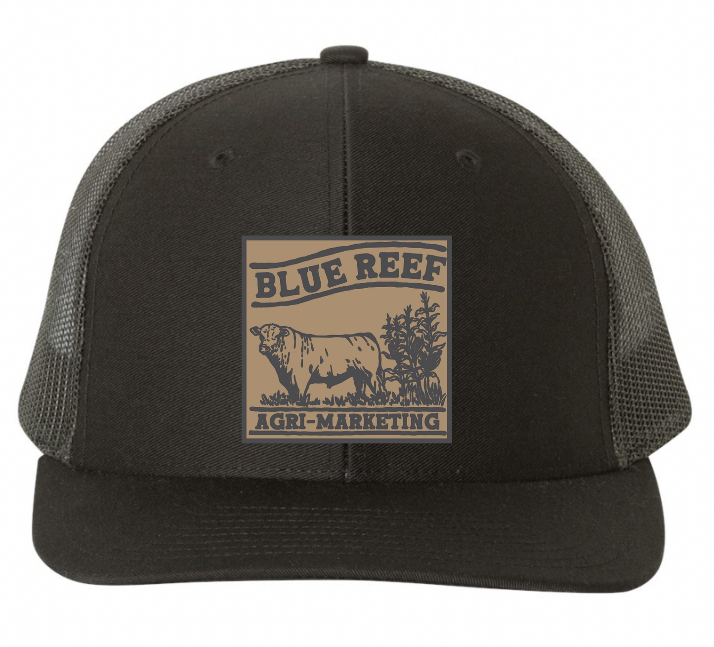 Blue Reef Richardson 112
