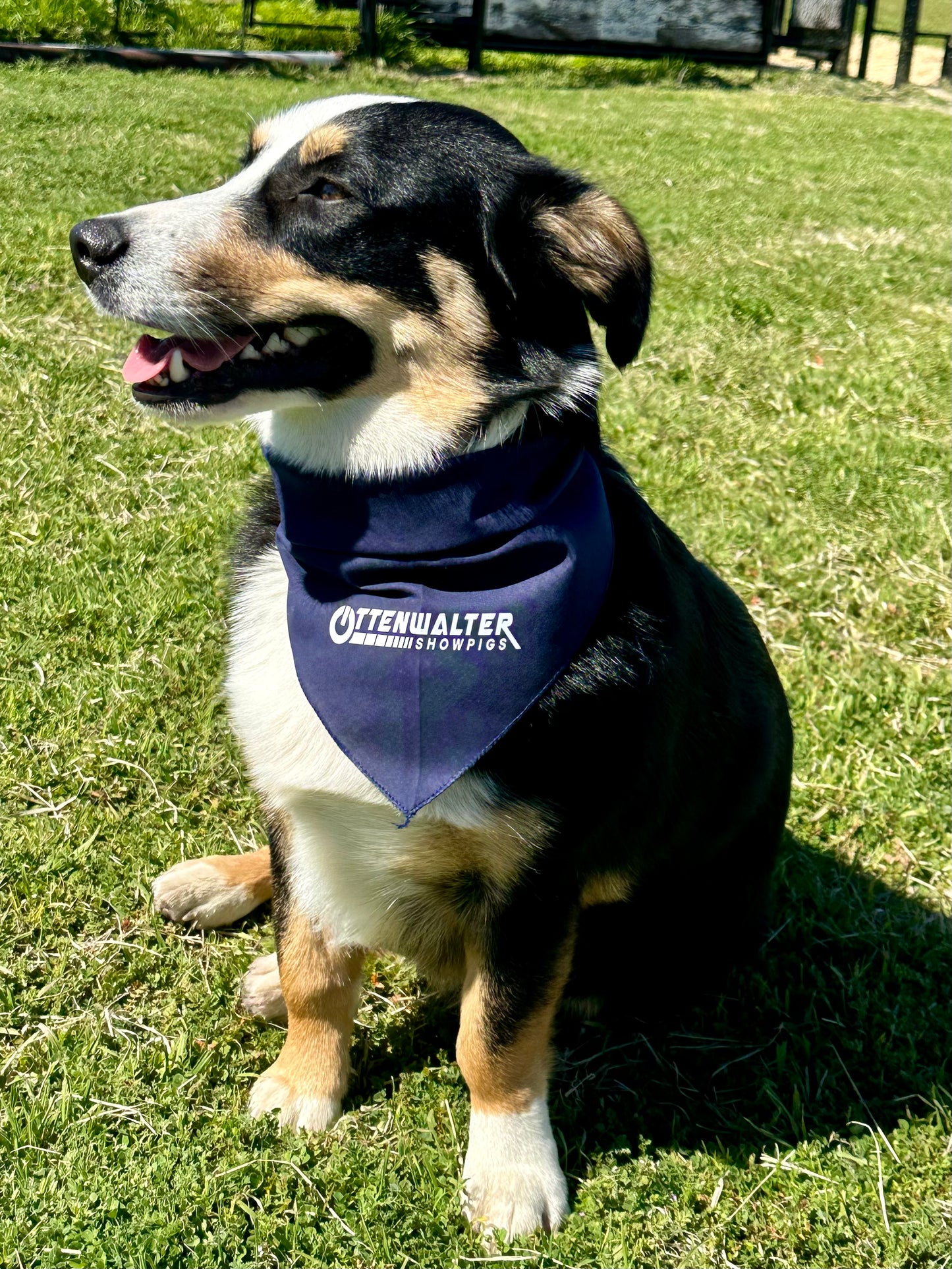 Ottenwalter Dog Bandana