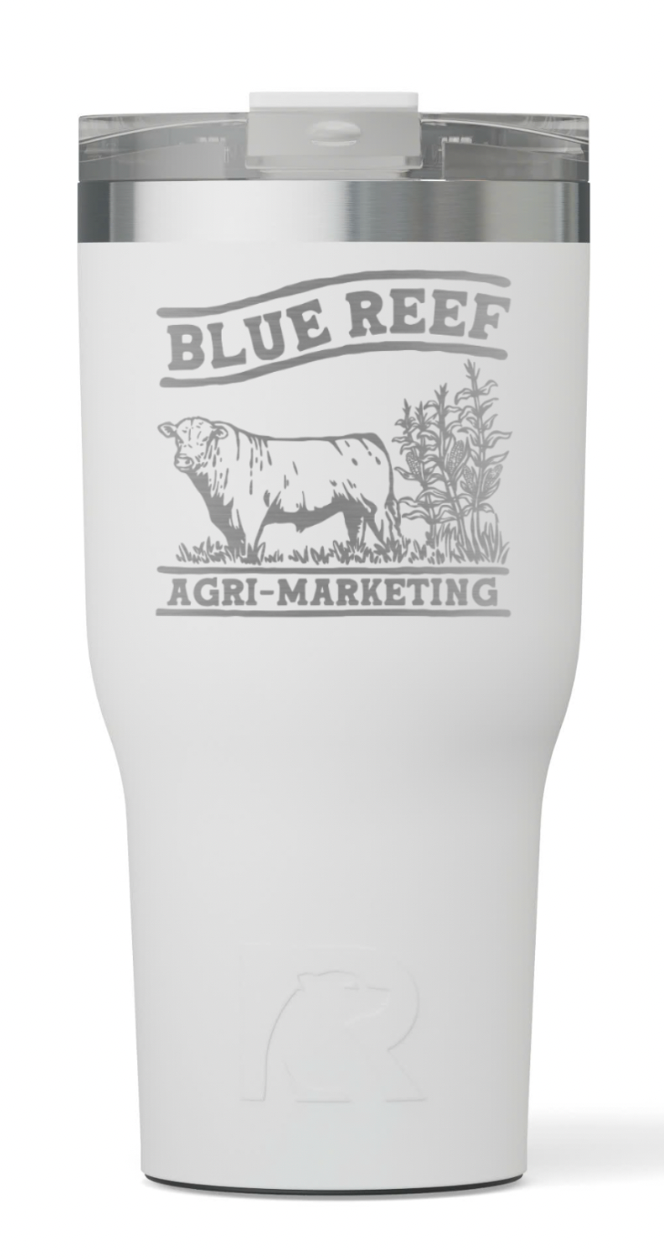 Blue Reef Tumbler