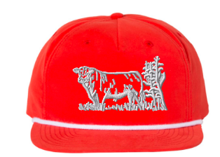 Blue Reef Richardson 256