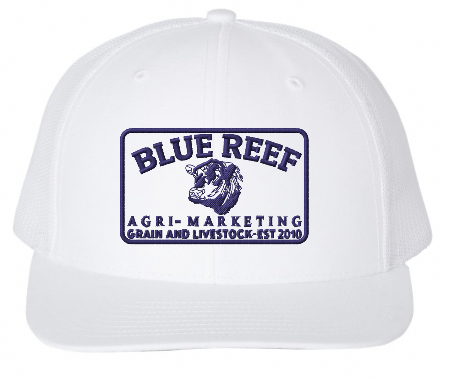 Blue Reef Richardson 112