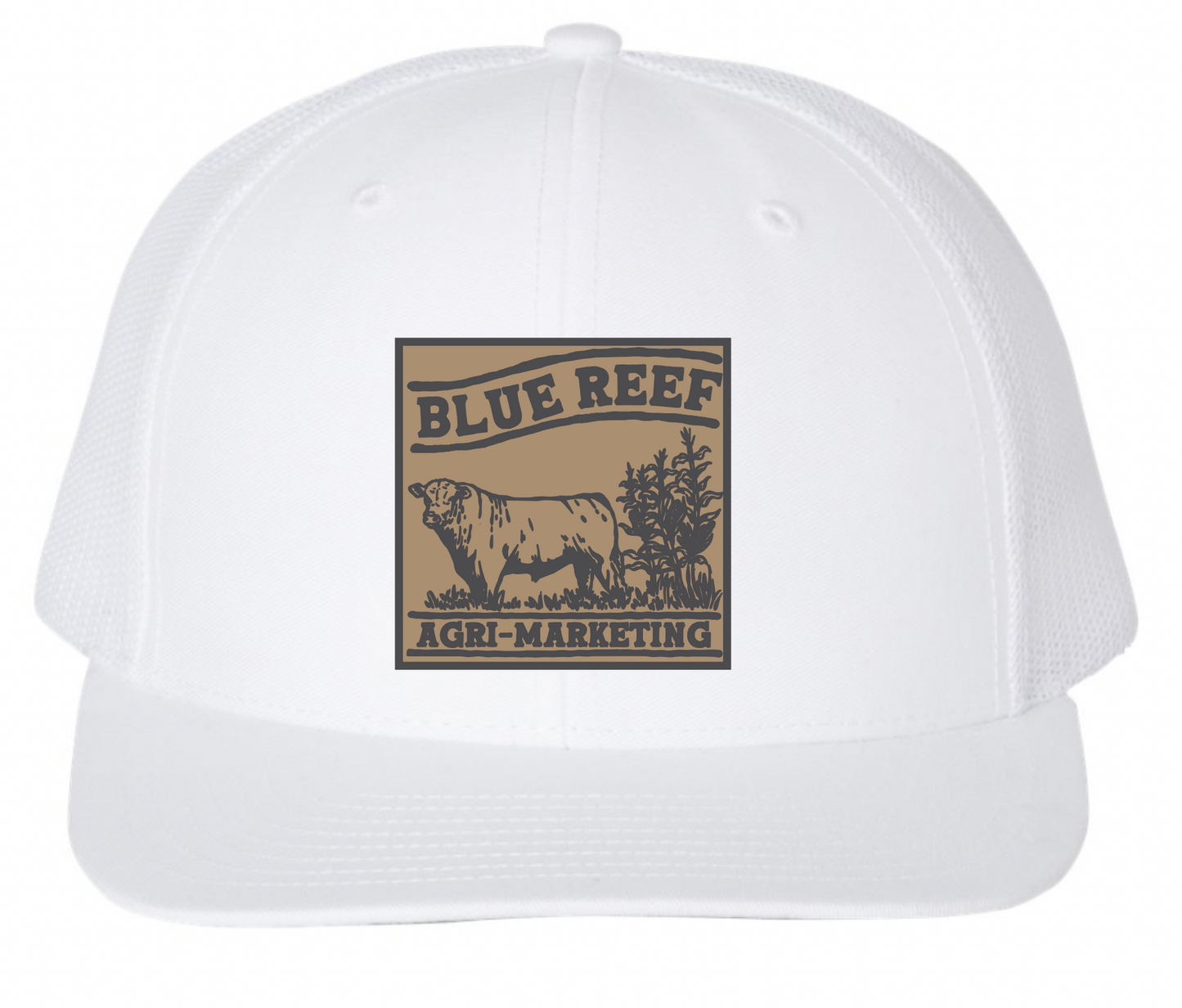 Blue Reef Richardson 112
