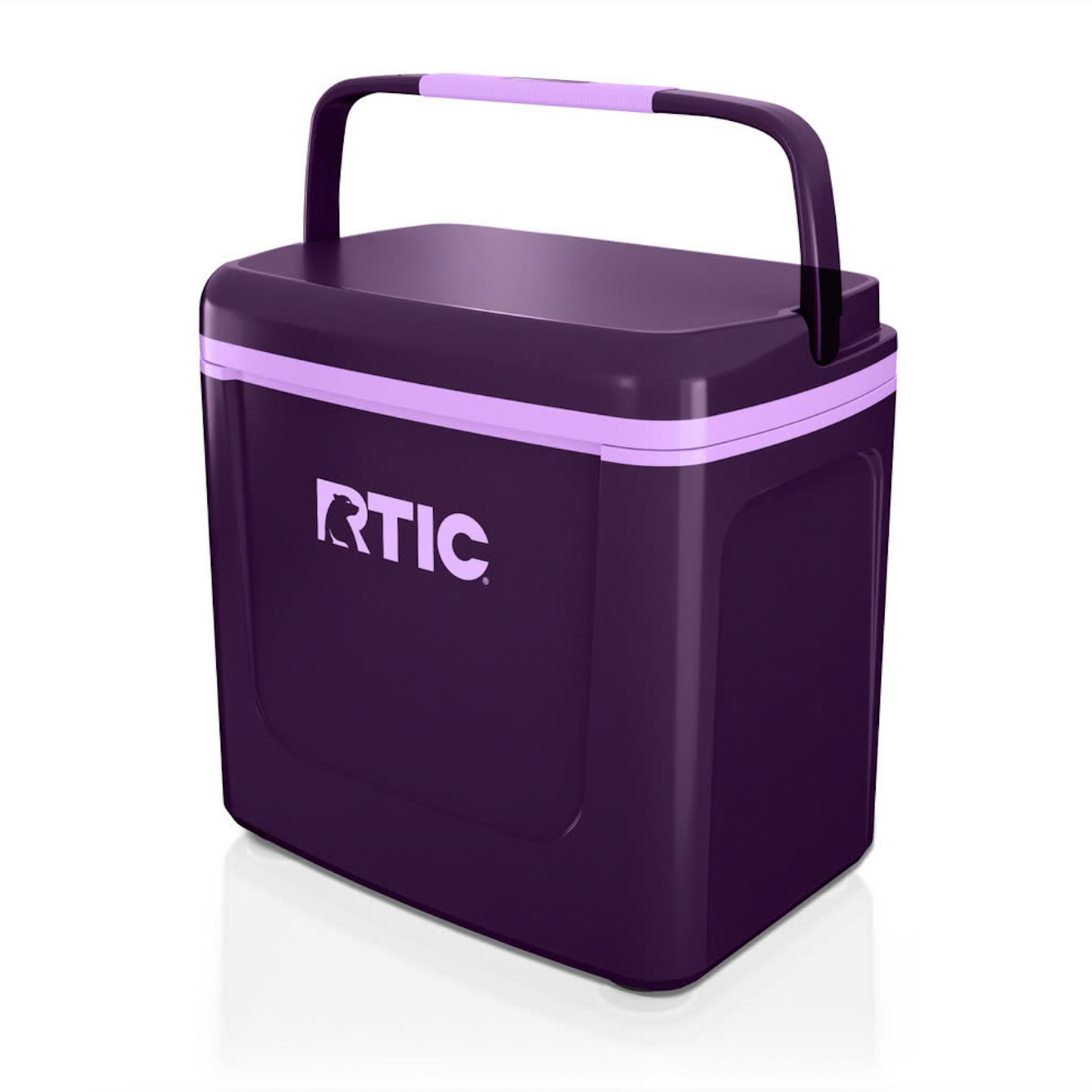 Blue Reef Road Trip Personal Cooler