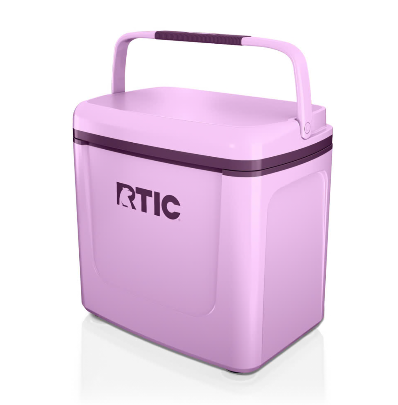 Blue Reef Road Trip Personal Cooler