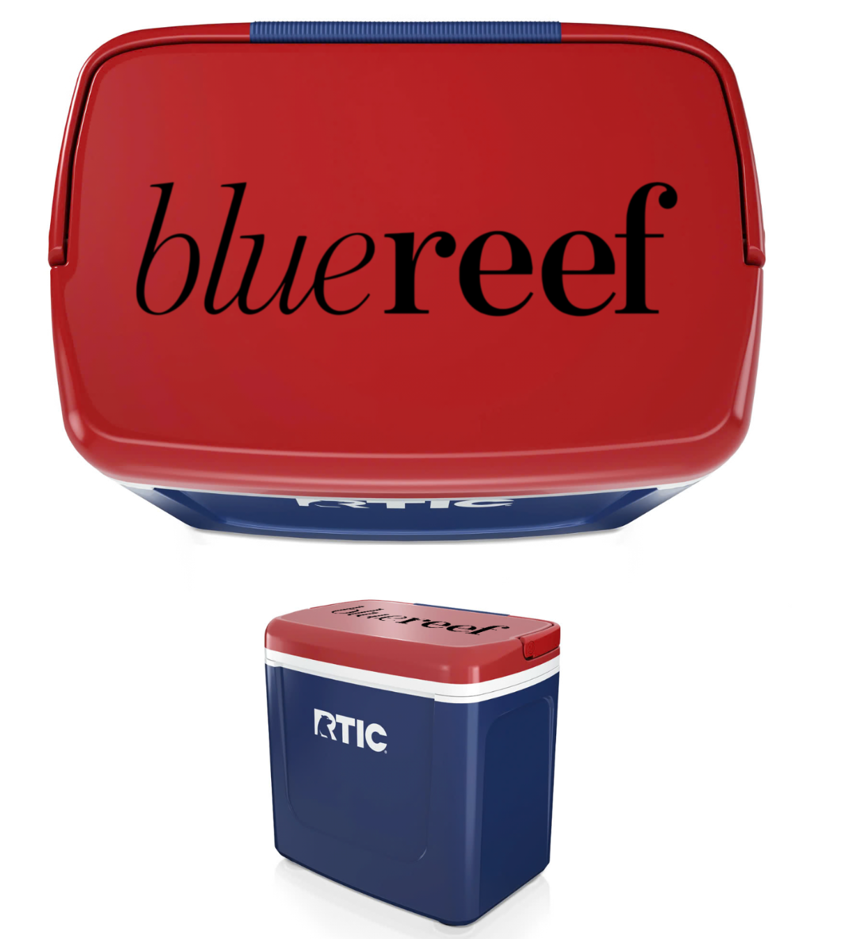 Blue Reef Road Trip Personal Cooler