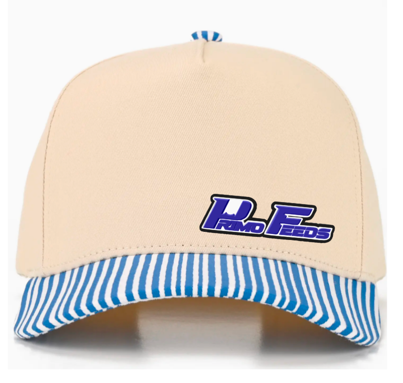 Primo Snapback Canvas Hat