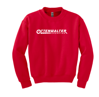 Youth  Crewneck Sweatshirt