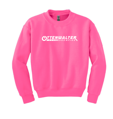 Youth  Crewneck Sweatshirt