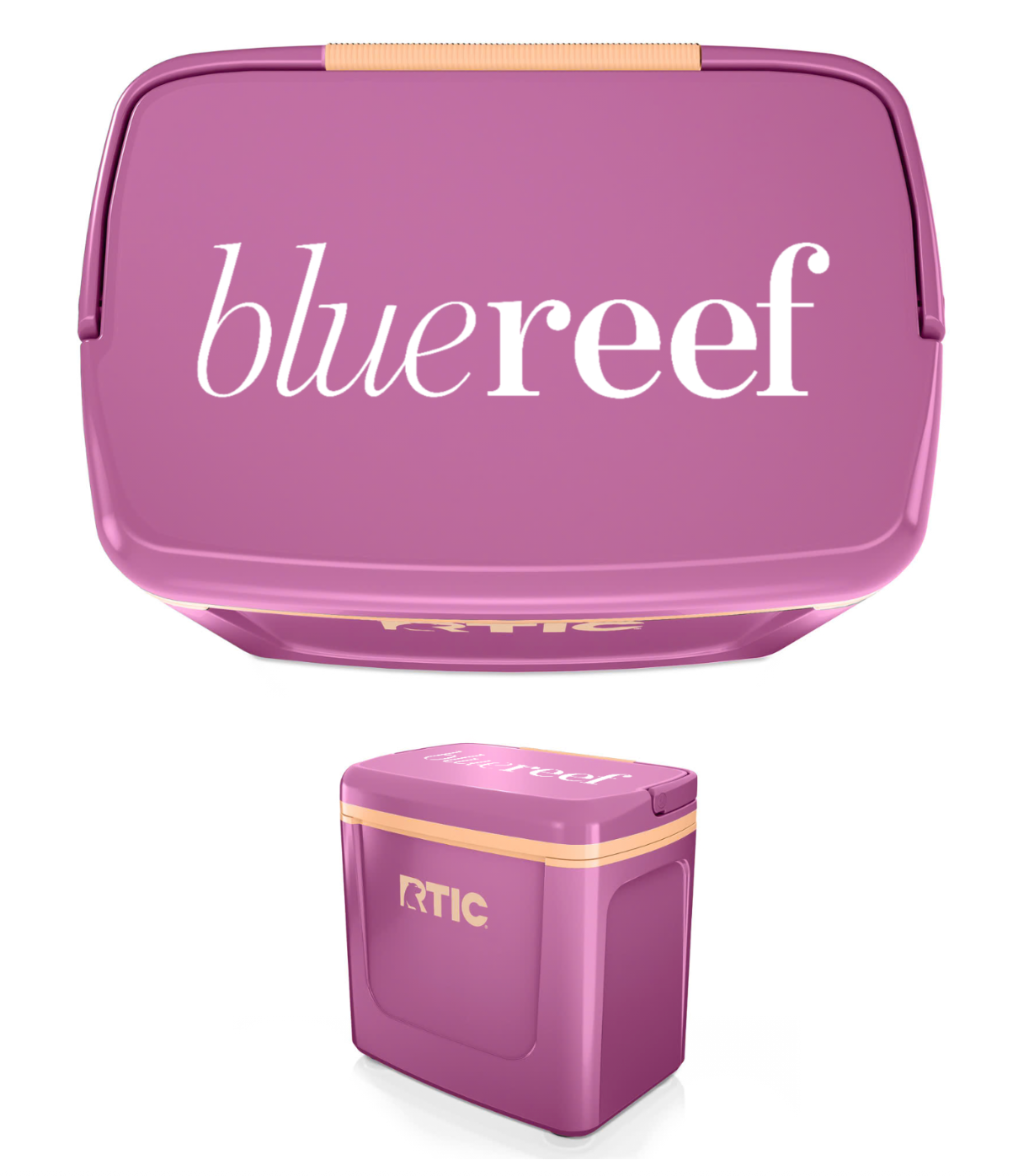 Blue Reef Road Trip Personal Cooler