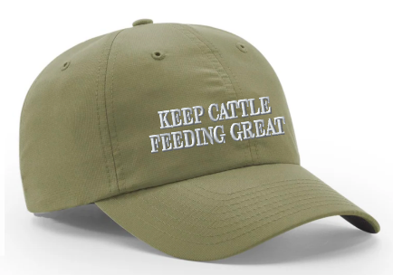 Blue Reef Richardson 220