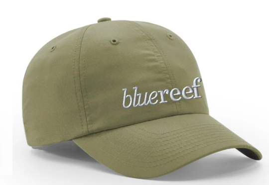 Blue Reef Richardson 220