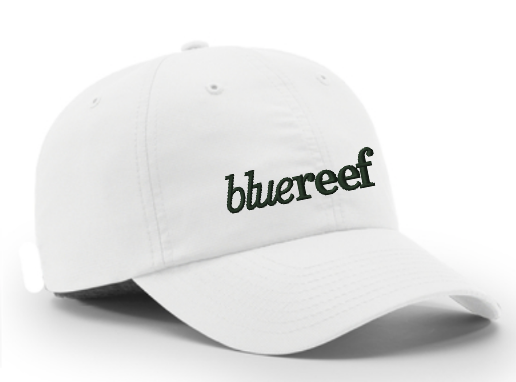 Blue Reef Richardson 220