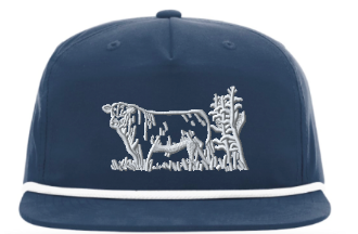 Blue Reef Richardson 256